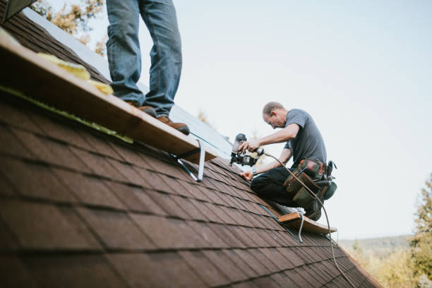 Trusted Winfield, IN Roofing Contractor Experts